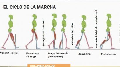 Análisis sobre el ciclo de la marcha  ARRIBA GENTE, Arriba Gente