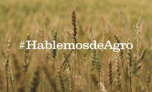 Hablemos de Agro